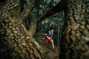 BIB: 
                            <button type="button" onclick="openModal(25708986)" class="btn btn-primary btn-sm float-right btn-popup" data-toggle="modal" data-target=".modal-high-quality">
                        <i class="fas fa-shopping-cart"></i> Add to Cart
                    </button>
                                            <button type="button" onclick="isThisMe(25708986, true)" class="btn btn-success btn-sm float-right btn-popup btn-isme hidden" data-toggle="tooltip" data-placement="bottom" title="นี่คือรูปของคุณใช่ไหม คลิกที่นี่เพื่อเอาเข้าอัลบั้ม">
                        <i class="fas fa-plus"></i> Add to album
                    </button>
                    <button type="button" onclick="isThisMe(25708986, false)" class="btn btn-warning btn-sm float-right btn-popup btn-isnotme hidden">
                        <i class="fas fa-ban"></i> Remove from album
                    </button>